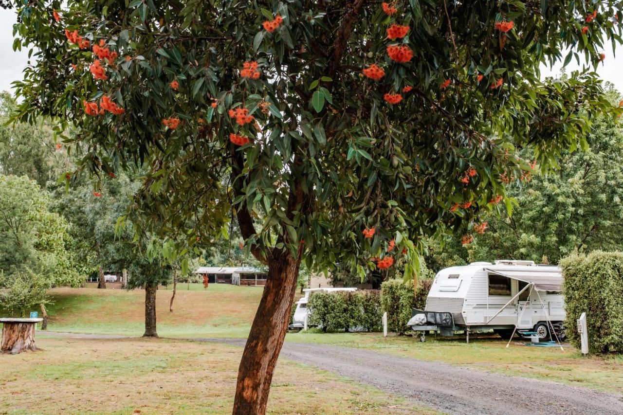 BIG4 Breeze Holiday Parks - Eildon Buitenkant foto